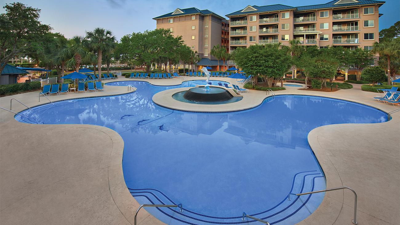 Dolphin Pool